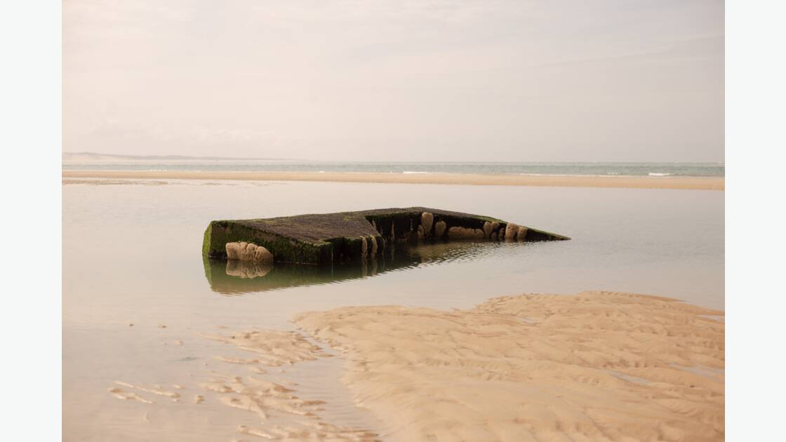 Ce qu'il reste, par Léonie Pondevie